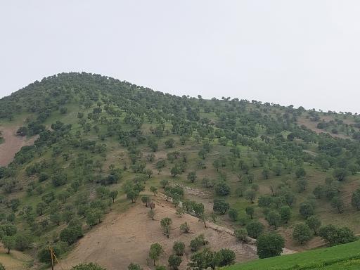 عکس سیاه دره 3 کوسه