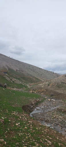 عکس سیاه دره 3 کوسه