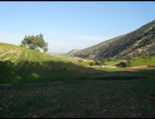 عکس سیاه دره 3 کوسه