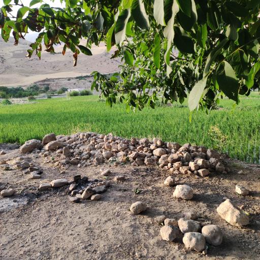 عکس چمنار