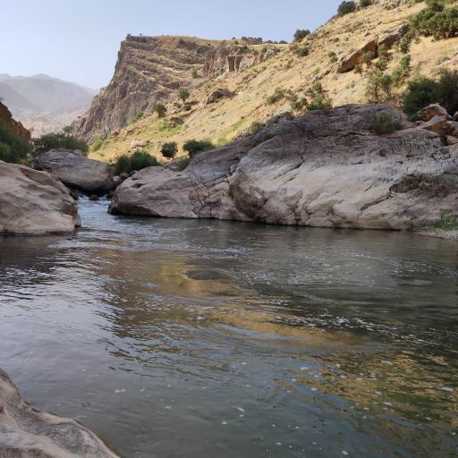 عکس چمنار