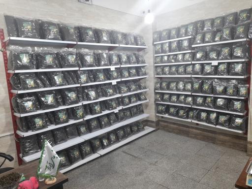 عکس پخش چای آراد