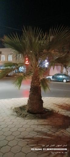 عکس میدان نعنا