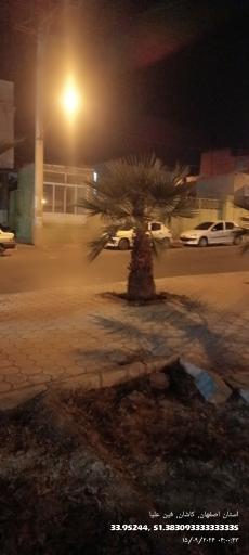 عکس میدان نعنا