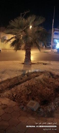 عکس میدان نعنا