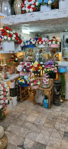 عکس گلسرای آریا