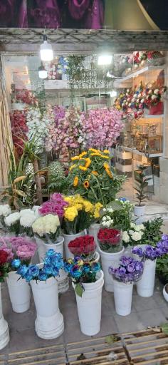 عکس گلسرای آریا