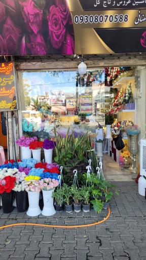 عکس گلسرای آریا