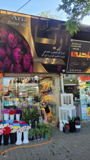 عکس گلسرای آریا