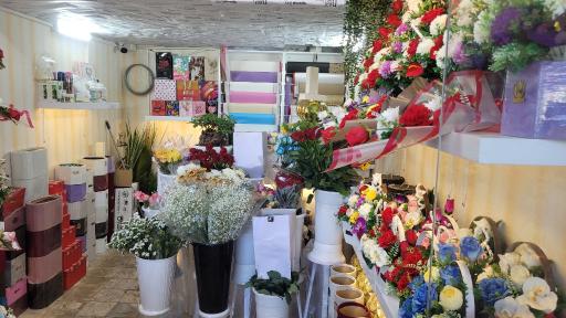 عکس گلسرای آریا