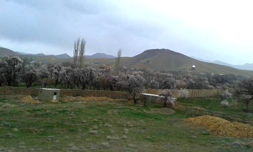 عکس گرکان