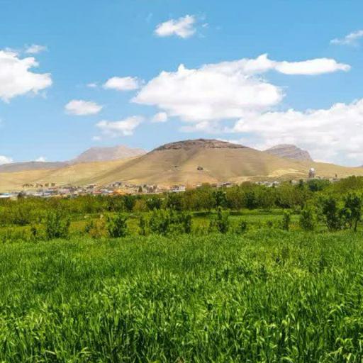 عکس گرکان