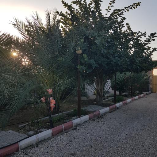 عکس بومگردی آفتاب جنوب
