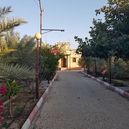 عکس بومگردی آفتاب جنوب
