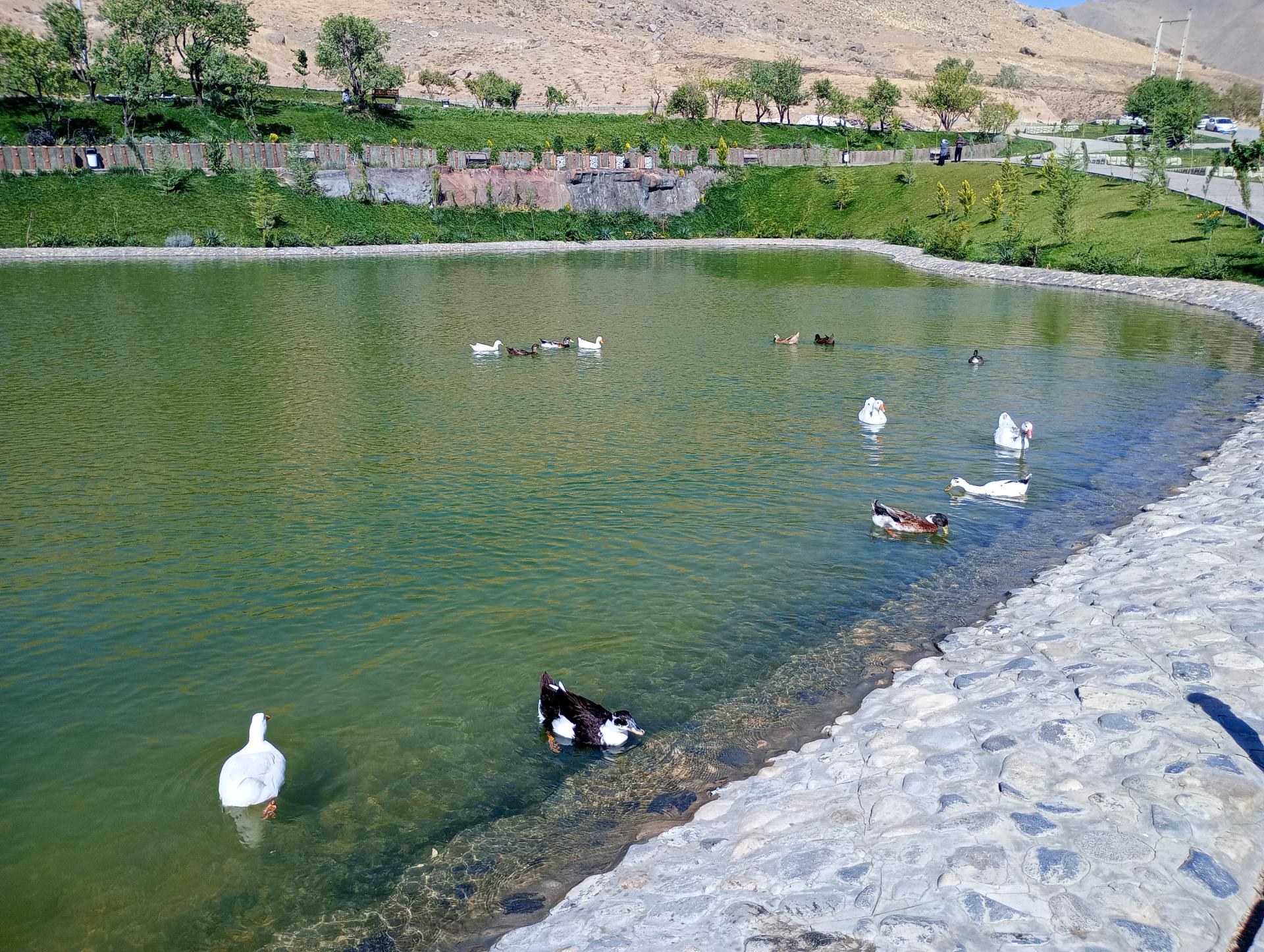 عکس دریاچه مادر 