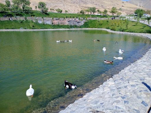 عکس دریاچه مادر 