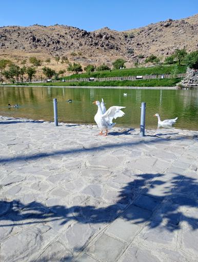 عکس دریاچه مادر 