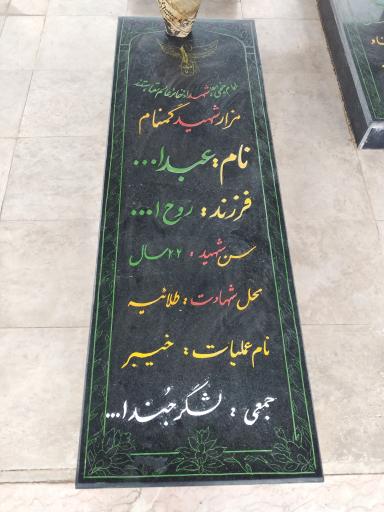 عکس قبور مطهر شهدای گمنام
