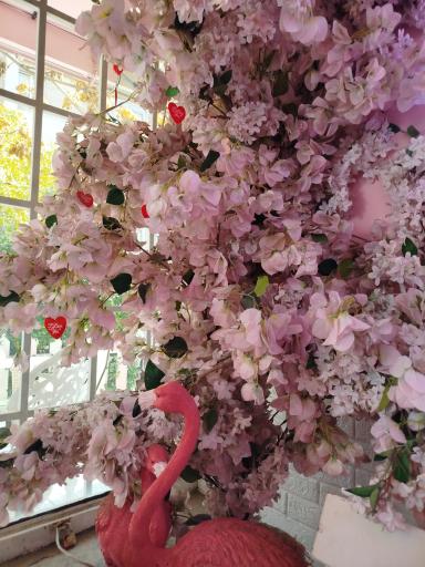 عکس کافی‌شاپ پینکی روم