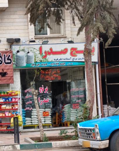 عکس برنج صدرا