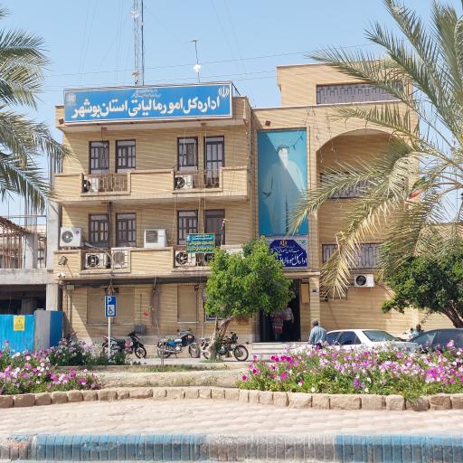 عکس اداره امور مالیاتی بوشهر