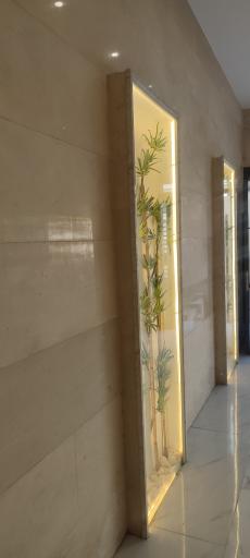 عکس هلدینگ حامد