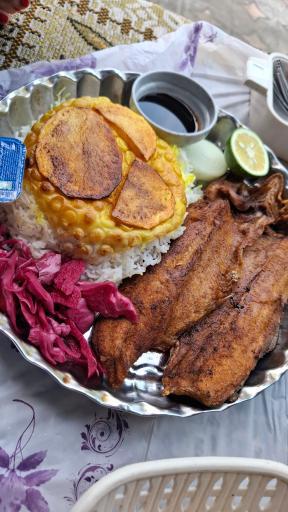 عکس باغ رستوران ضیافت