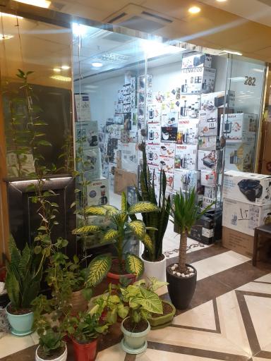 عکس پخش لوازم خانگی داریوش