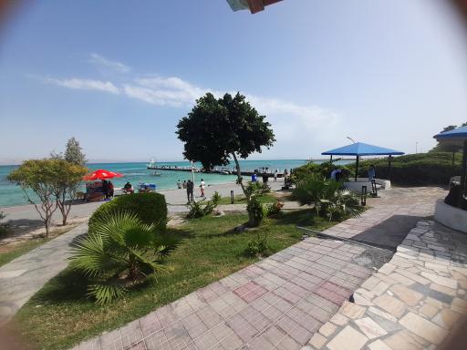 عکس بوستان ساحلی مرجان