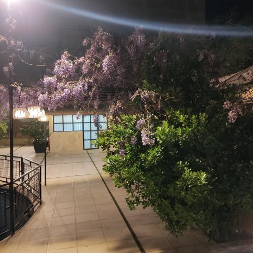 عکس سالن عقد و ازدواج باغ لادن