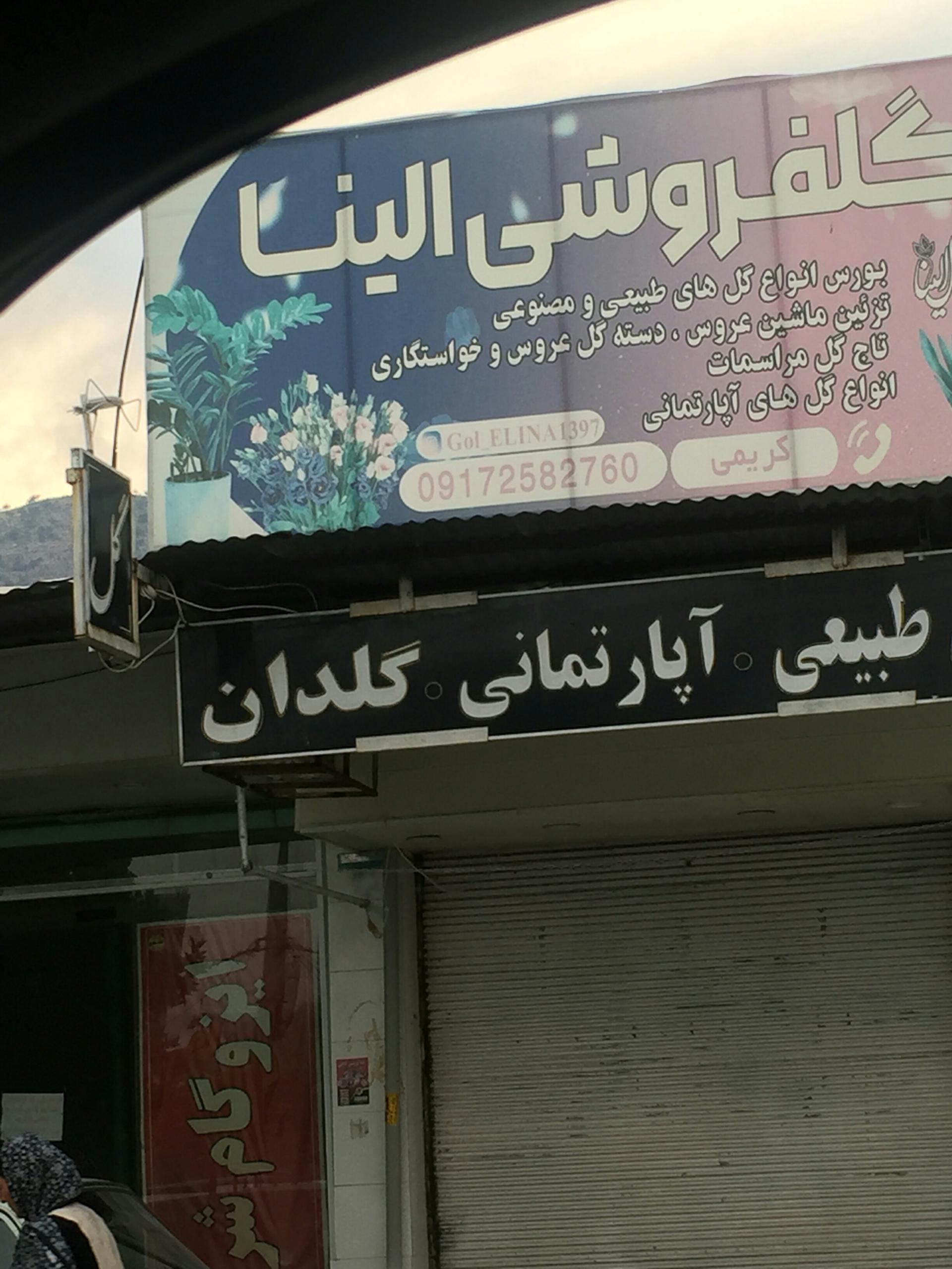 عکس گلفروشی الینا