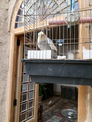 عکس کافه عمارت مهر و ماه