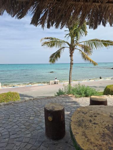عکس بوستان ساحلی مرجان