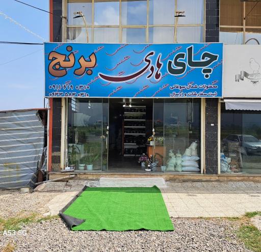 عکس چای و برنج هادی