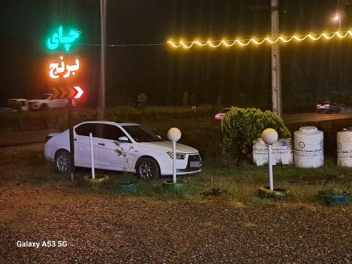 عکس چای و برنج هادی