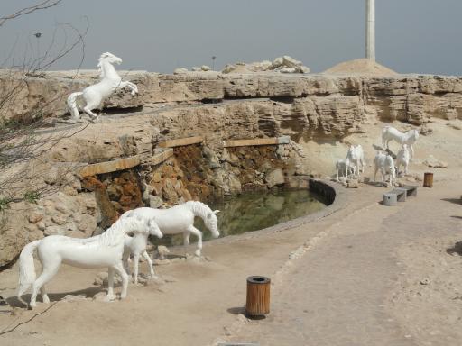 عکس بوستان ساحلی مرجان