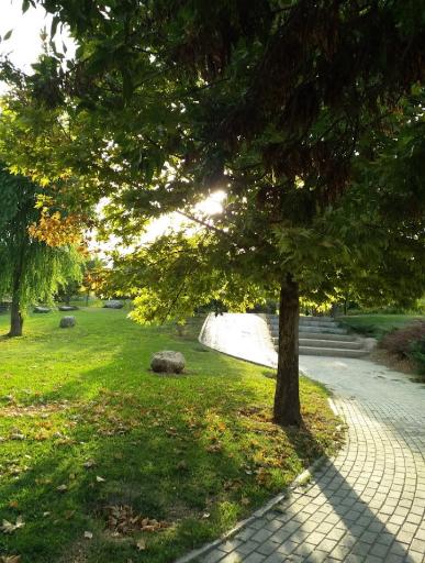 عکس بوستان شقایق