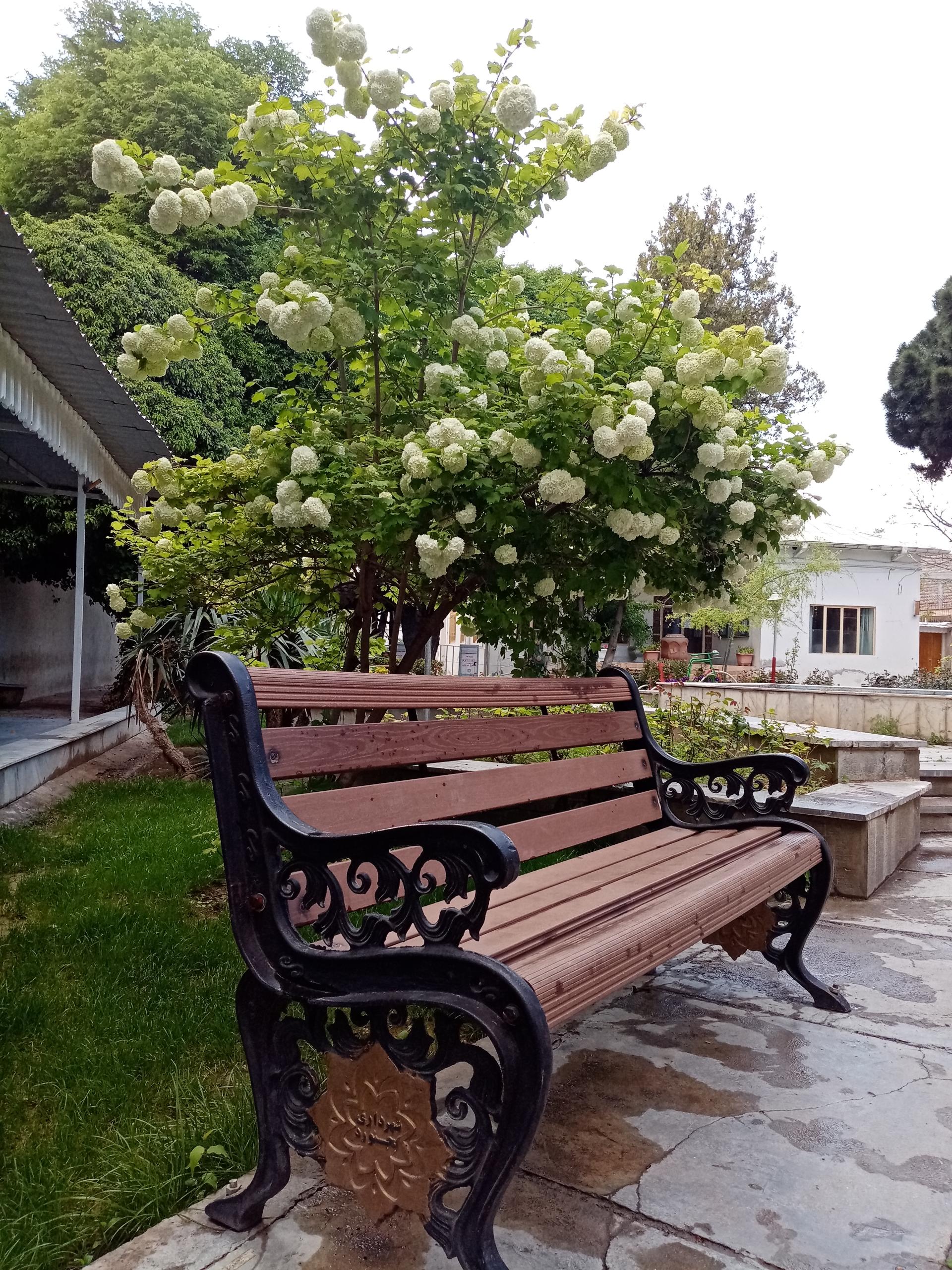 عکس پارک فرهنگ