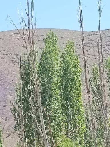 عکس پارک حکیم نظامی