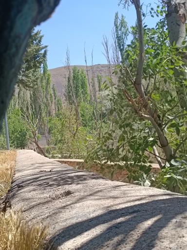 عکس پارک حکیم نظامی