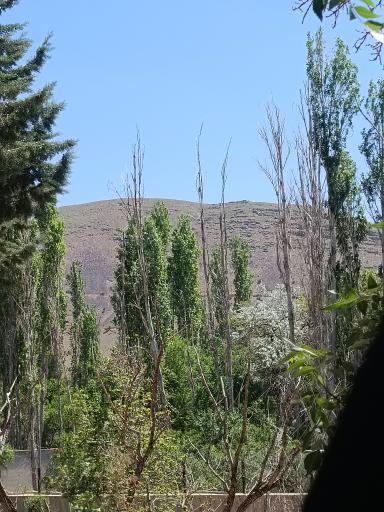 عکس پارک حکیم نظامی