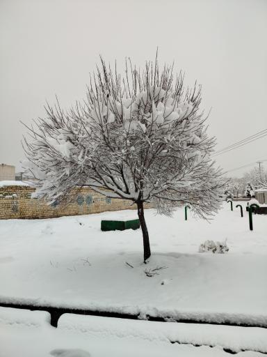 عکس  مجیدیه 36