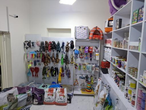 عکس کلینک دامپزشکی پناه