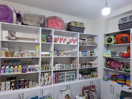 عکس کلینک دامپزشکی پناه