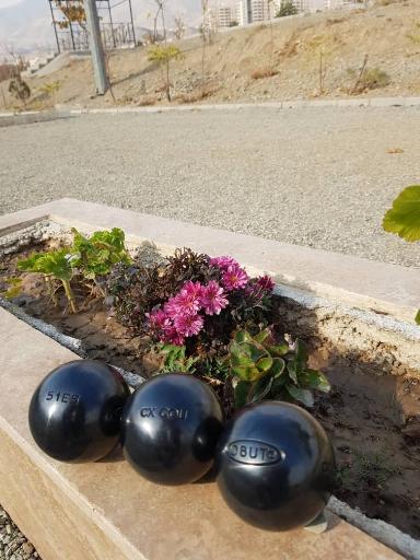 عکس باشگاه پتانک المپیک