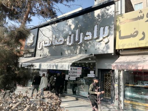 پروتئین برادران صالحی