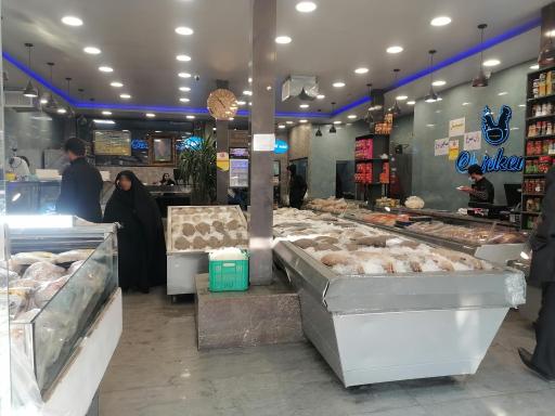 عکس پروتئین برادران صالحی