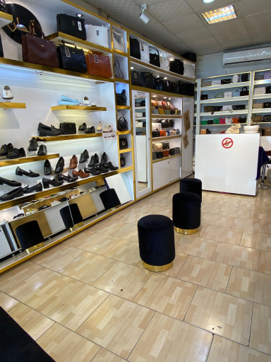 عکس کیف و کفش آیسان