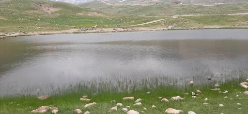 عکس چشمه آلوارس