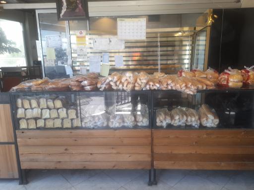 عکس نان فانتزی اقیانوس